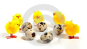 Five little yellow chicks and eggs