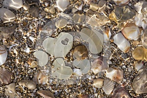 Five Metal Hearts under Ripples of Water