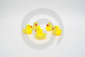 Five mini yellow rubber ducks in circle facing each other. Isola