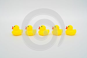 Five mini yellow rubber ducks in a row. Isolated on white backgr