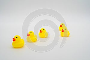 Five mini yellow rubber ducks in a row. One duck out of line. Ge