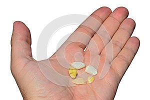 Five miniature bivalve seashells placed in circle on adult man left palm, white background
