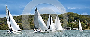 Five monohull sailing yachts racing on Brisbane Water. photo