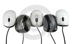 Five mouses