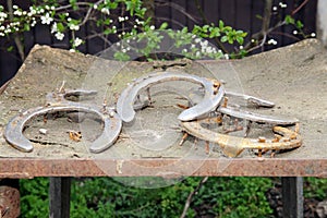 Five old rusty horseshoes as a background at rural horse farm as