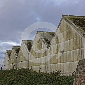 Five old shipping warehouses at the Port of Montrose with their heavily stained Galvanised metal walls and Roofs