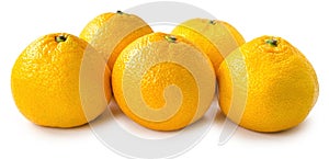 Five orange mandarin isolated