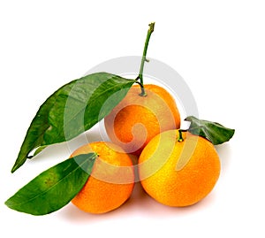 Five orange mandarin isolated