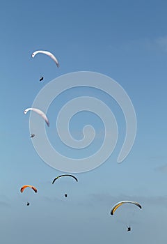 Five paragliders off the coast of San Diego, California