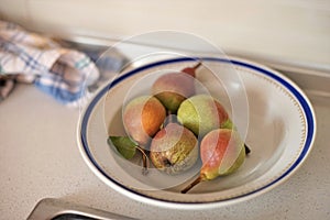 Five pears in a plate with a blue border and a kitchen towel on the table