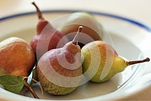 Five pears in a plate on a table