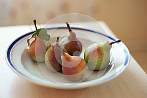 Five pears in a plate on a table