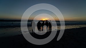 Five people standing at the beach, sunset