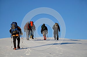 Five people trekking