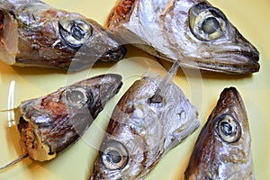 Five pieces heads fish blue whiting on the yellow plate.