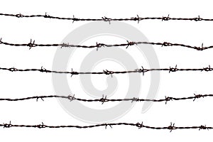 Five pieces of rusty barbed wire isolated on white background.