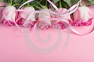 Five pink Roses on pink background with ribbon. copy space - Valentines , 8 March, Mother, Women`s Day concept