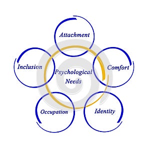 Five Psychological Needs