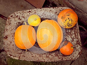 Five pumpkins