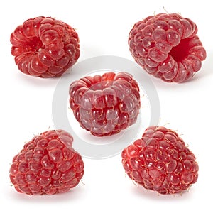 Five raspberries close-up on a white background. Full depth of field