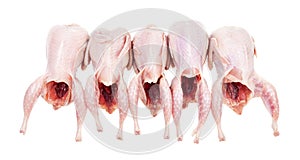 Five raw plucked and gutted quails isolated