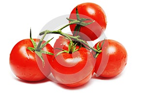 Five red tomatoes isolated on white