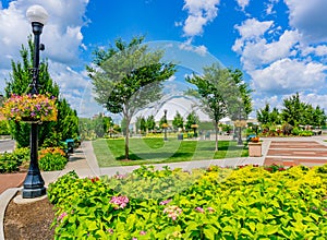 Five Rivers Metropark in downtown Dayton, Ohio is lush with flowers photo