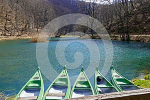 Five rowing boats on the lake overlook the idyllic green lake.