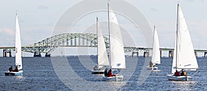 Five sailboats heading toward the Great South Bay bridge in winter