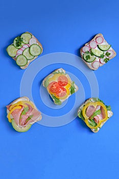 Five sandwich with avocado, radish, cucumber, raw ham, pepper and fresh cheese on a blue background, top view