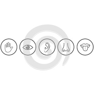 Five sense icon vector design symbol