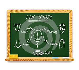 The Five Senses