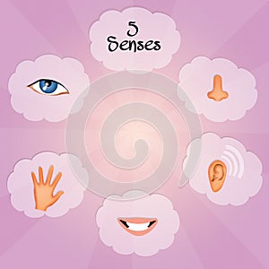 Five Senses