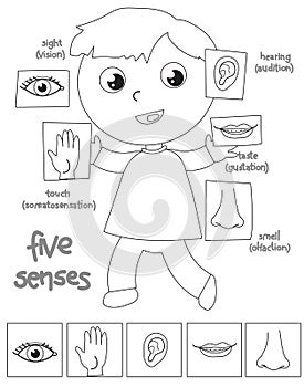 Five senses boy coloring illustration