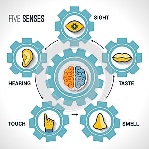 Five senses concept