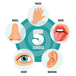 Five Senses Concept With Human Organs