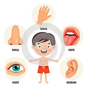 Five Senses Concept With Human Organs