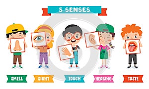 Five Senses Concept With Human Organs