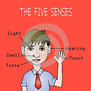 Five senses educational concept