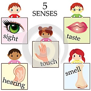 Five senses educational concept photo