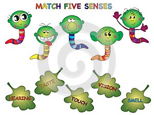 Five senses game