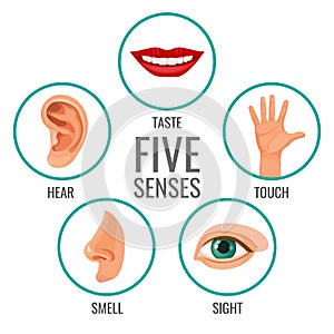 Five senses of human perception poster icons. Taste and hear