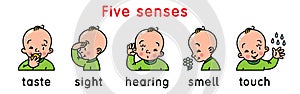 Five senses icon set.