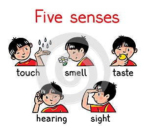 Cinque i sensi impostato composto da icone 
