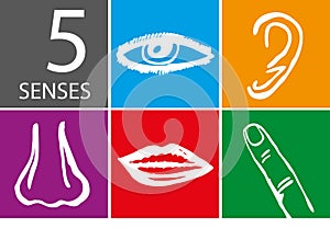 Five senses icon set - Vector