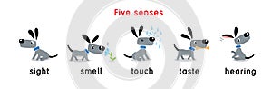 Five senses icon. Touch, taste hearing sight smell
