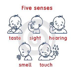 Five senses icon. Touch, taste hearing sight smell