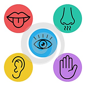 Five senses icons design in outline style.