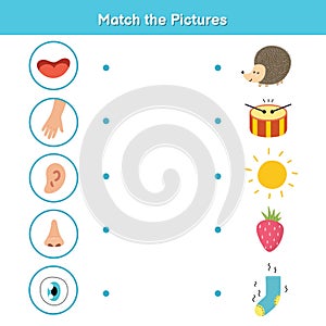 Five senses matching game for kids. Sight, touch, hearing, smell and taste