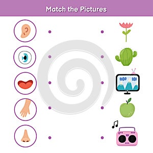 Five senses matching game for kids. Sight, touch, hearing, smell and taste